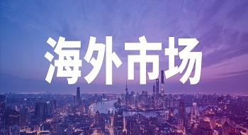 新加坡内政科技局到访ezpay信息新加坡子公司